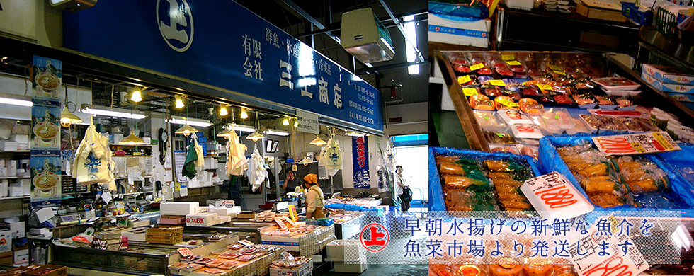 早朝水揚げの新鮮な魚介を魚彩市場より発送します